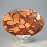 Poppy Jasper Palmstone (Extra Grade)  ~70x50mm