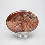 Poppy Jasper Palmstone (Extra Grade)  ~70x50mm