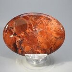 Poppy Jasper Palmstone (Extra Grade)  ~70x50mm