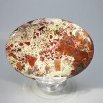Poppy Jasper Palmstone (Extra Grade)  ~70x50mm