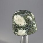 Preseli Stonehenge Bluestone Tumblestone ~30mm