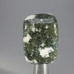 Preseli Stonehenge Bluestone Tumblestone ~31mm