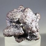 Prophecy Stone (Limonite after Marcasite) ~38mm