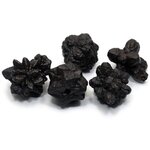 Prophecy Stone (Limonite after Marcasite) - Large