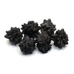 Prophecy Stone (Limonite after Marcasite) - Medium