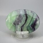 Rainbow Fluorite Palmstone (Extra Grade) ~70x50mm