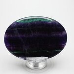 Rainbow Fluorite Palmstone (Extra Grade) ~70x50mm