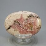 Rhodochrosite Palmstone (Extra Grade) ~50 x 35mm