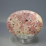 Rhodochrosite Palmstone (Extra Grade) ~52x39mm
