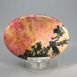 Rhodonite Palmstone (Extra Grade) ~70x50mm