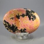 Rhodonite Palmstone (Extra Grade) ~70x50mm