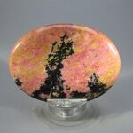 Rhodonite Palmstone (Extra Grade) ~70x50mm