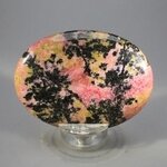 Rhodonite Palmstone (Extra Grade) ~70x50mm