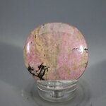 Rhodonite Polished Flat Tumblestone ~40mm
