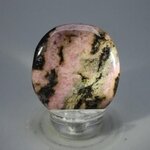 Rhodonite Polished Flat Tumblestone ~42mm