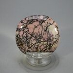 Rhodonite Polished Flat Tumblestone ~42mm