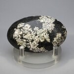 Rhodonite Snowflake Polished Stone ~59mm