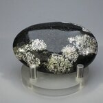 Rhodonite Snowflake Polished Stone ~60mm