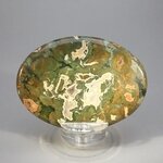 Rhyolite Palmstone (Extra Grade) ~70x50mm