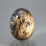 Sardonyx Crystal Egg ~48mm
