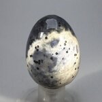 Sardonyx Crystal Egg ~50mm