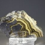 Schalenblende Polished Slice ~45mm