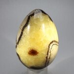 Septarian Crystal Egg  ~72mm