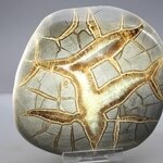 Septarian Polished Nodule ~11cm
