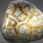 Septarian Polished Nodule ~12.5cm