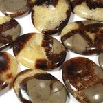 Septarian Thumb Stone ~40mm