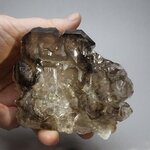 Smoky Elestial Quartz ~93mm