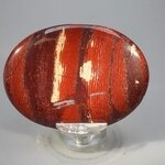Snakeskin Jasper Palmstone (Extra Grade) ~70x50mm