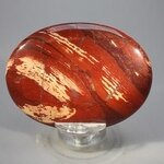 Snakeskin Jasper Palmstone (Extra Grade) ~70x50mm