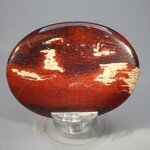 Snakeskin Jasper Palmstone (Extra Grade) ~70x50mm
