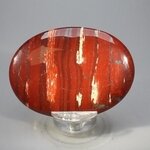 Snakeskin Jasper Palmstone (Extra Grade) ~70x50mm