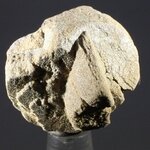 Staurolite Healing Crystal ~22mm