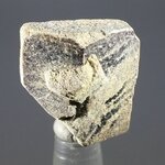 Staurolite Healing Crystal ~23mm