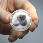 Tanzanite Mini Tumblestone Chips