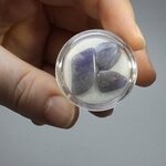 Tanzanite Mini Tumblestone Chips