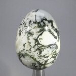 Tree Agate Crystal Egg ~49mm