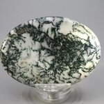 Tree Jasper Palmstone (Extra Grade) ~70x50mm