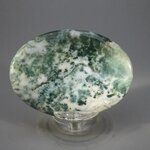 Tree Jasper Palmstone (Extra Grade) ~70x50mm