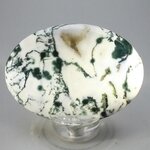 Tree Jasper Palmstone (Extra Grade) ~70x50mm