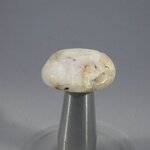 Tugtupite Tumblestone ~23mm