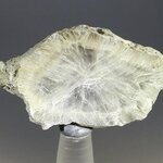 Tunellite Healing Crystal ~42mm