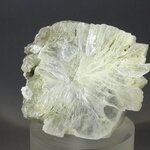 Tunellite Healing Crystal (Collector Grade) ~46mm