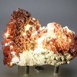 Vanadinite on Baryte Healing Mineral (Morocco) ~85mm