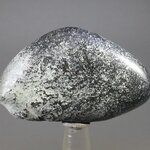 Vivianite Polished Stone  ~48mm