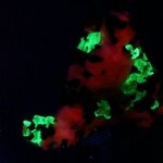 Willemite, Franklinite & Zincite Healing Mineral ~32mm