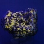 Wollastonite Healing Mineral ~50mm